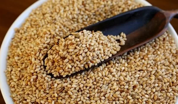 RUYADA   SUSAM GÖRMEK