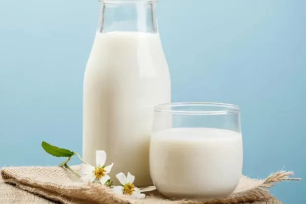 RUYADA  SÜT GÖRMEK