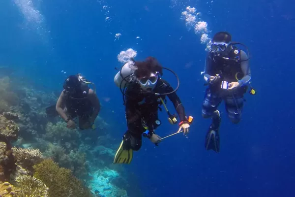 RUYADA   SUYA  DALMAK GÖRMEK