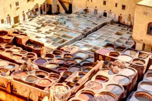 RUYADA   TABAKHANE GÖRMEK