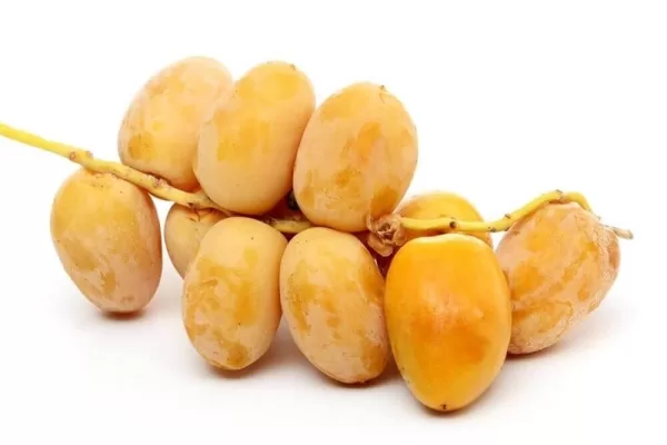 RUYADA   TAZE  HURMA GÖRMEK