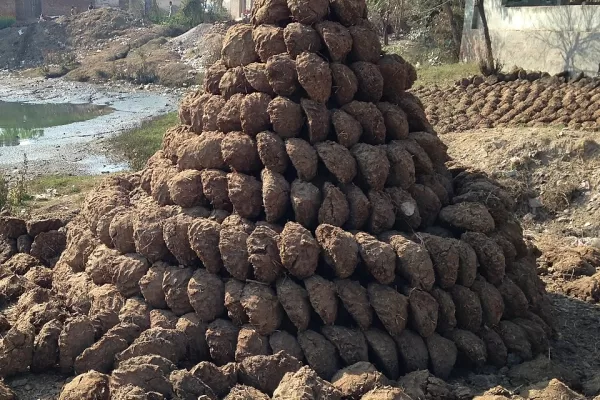 RUYADA  TEZEK GÖRMEK