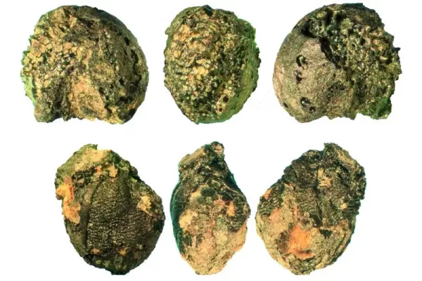 RUYADA  TUNÇ GÖRMEK