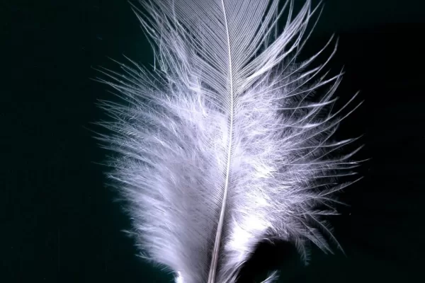 RUYADA  TÜY GÖRMEK