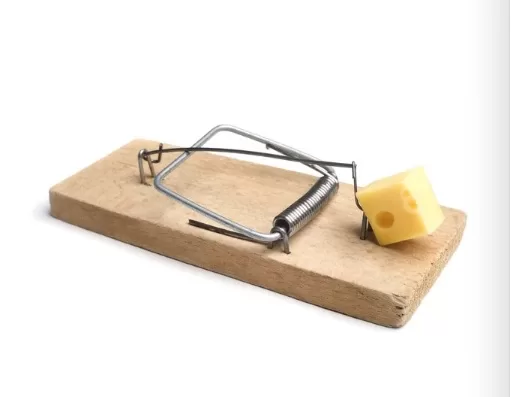 RUYADA  TUZAK GÖRMEK