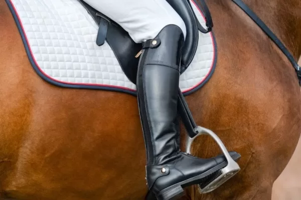 RUYADA   ÜZENGİ GÖRMEK