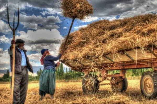 RUYADA  YABA GÖRMEK