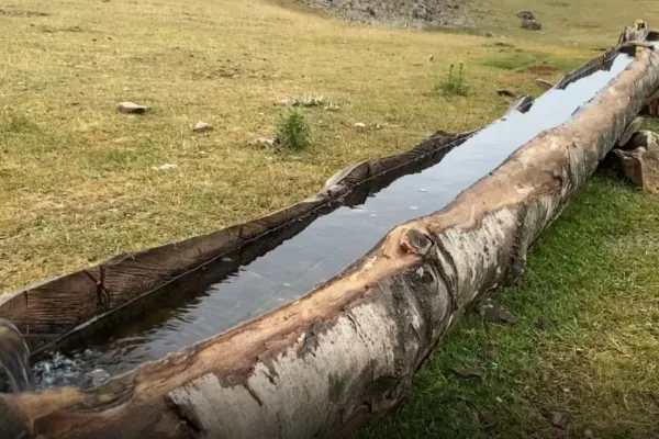 RUYADA  YALAK GÖRMEK