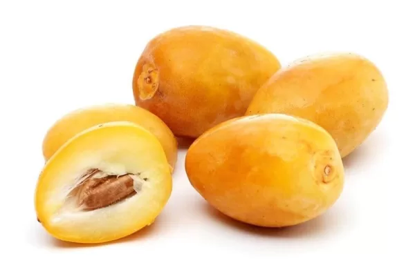 RUYADA  YAŞ HURMA GÖRMEK