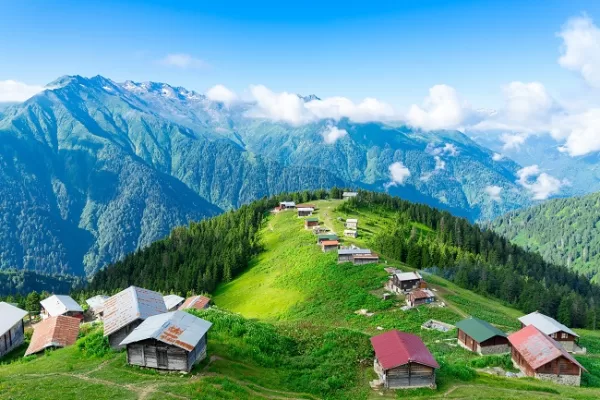 RUYADA   YAYLA GÖRMEK