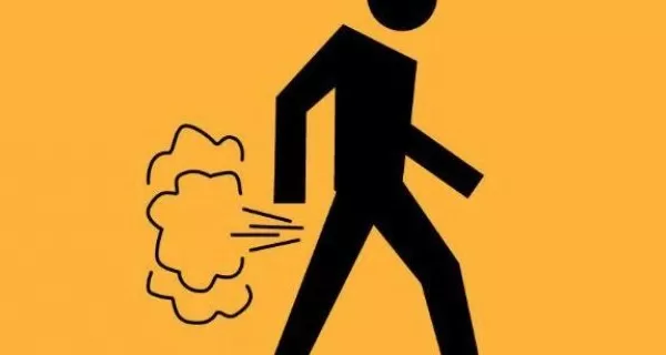 RUYADA   YELLENMEK GÖRMEK