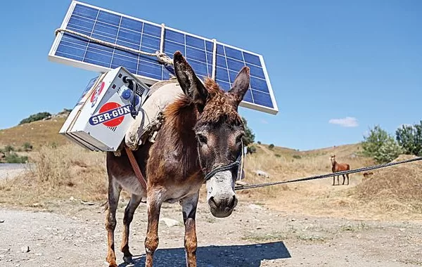 RUYADA  YÜK GÖRMEK