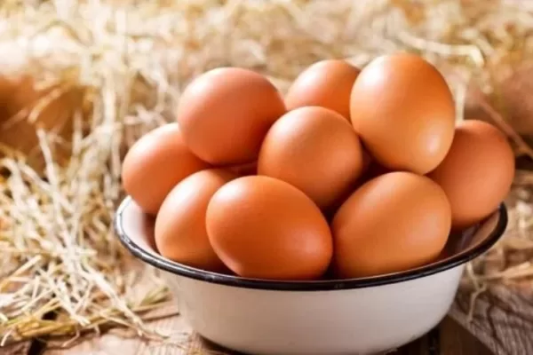 RUYADA   YUMURTA GÖRMEK