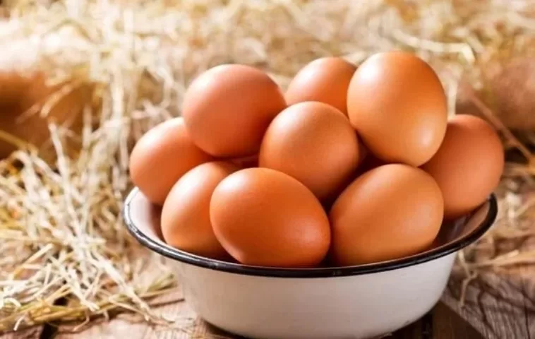 RUYADA   YUMURTA GÖRMEK