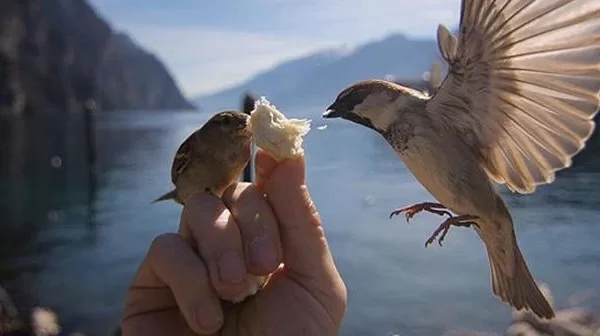 RUYADA  YUMUŞAK HUY GÖRMEK