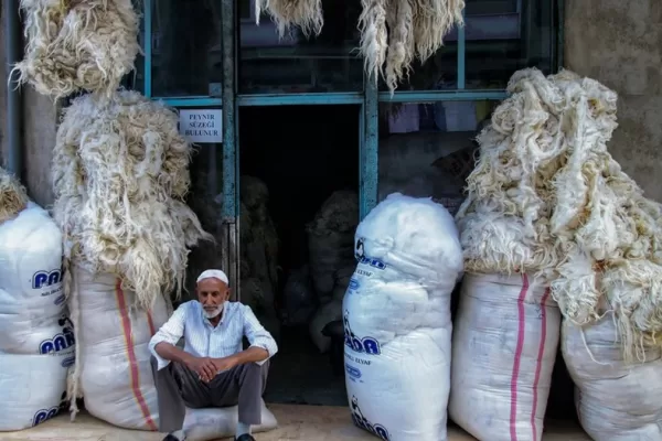 RUYADA  YÜNCÜ GÖRMEK