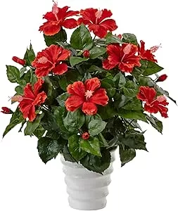 RÜYADA ANBER  ÇİÇEĞİ GÖRMEK