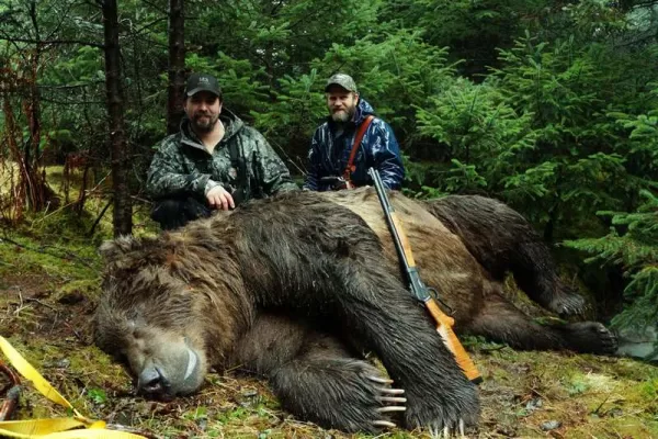 RÜYADA AYI  AVCISI GÖRMEK