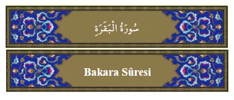 RUYADA   BAKARA GÖRMEK