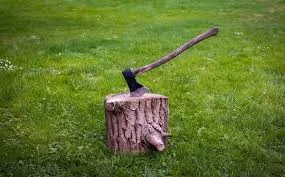 RUYADA   BALTA GÖRMEK