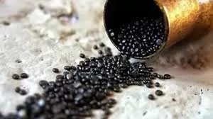 RUYADA  BARUT GÖRMEK