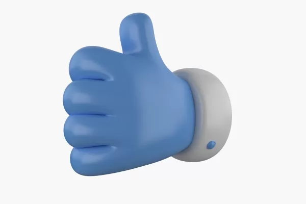 RUYADA BEĞENMEK GÖRMEK