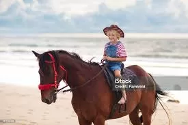 RUYADA   BİNMEK GÖRMEK