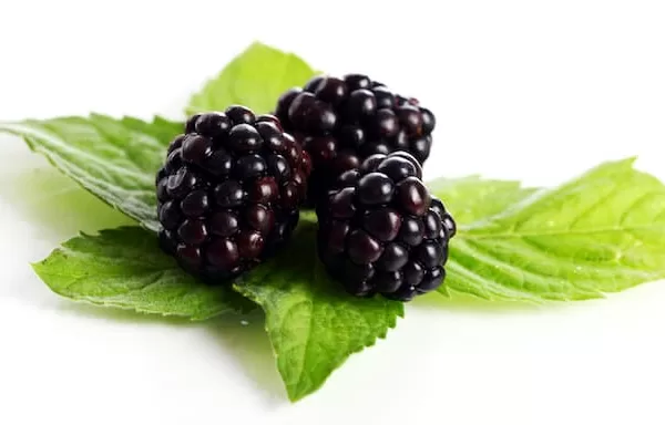 RUYADA  BÖĞÜRTLEN GÖRMEK