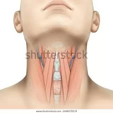 RUYADA   BOYUN GÖRMEK