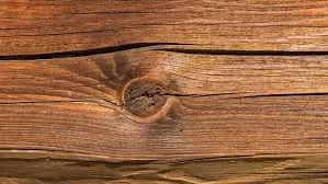 RUYADA   BUDAK GÖRMEK