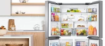 RUYADA  BUZDOLABI GÖRMEK