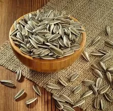 RUYADA ÇEKİRDEK GÖRMEK