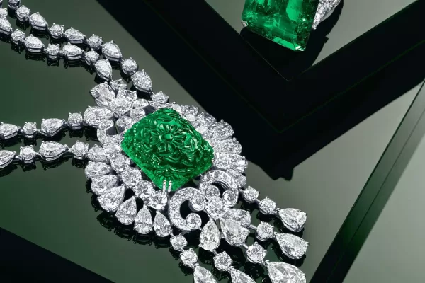 RUYADA CEVHERCİ GÖRMEK