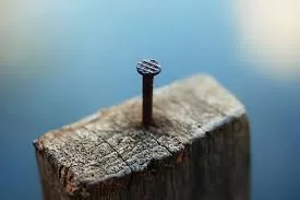 RUYADA ÇİVİ GÖRMEK