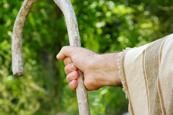 RUYADA ÇOBAN DEĞNEĞİ GÖRMEK