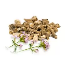 RUYADA ÇÖĞEN OTU GÖRMEK