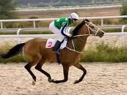 RUYADA COKEY GÖRMEK