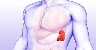 RUYADA DALAK GÖRMEK