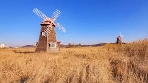 RUYADA DEĞİRMEN GÖRMEK