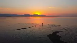 RUYADA DELLÂL GÖRMEK