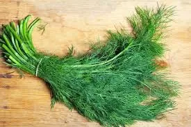 RUYADA DERE OTU GÖRMEK