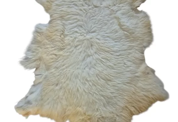 RUYADA DERİSİNİ YÜZMEK GÖRMEK