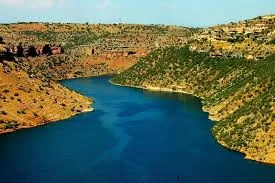 RUYADA DİCLE NEHRİ GÖRMEK