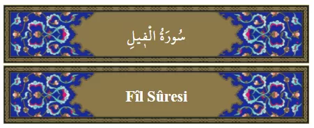 RUYADA  FİL GÖRMEK