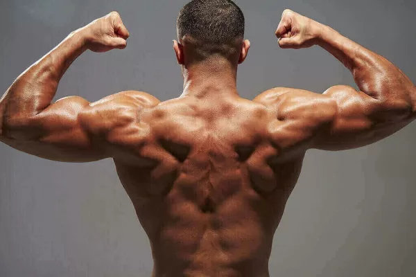 RÜYADA ADALE GÖRMEK