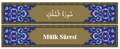 RUYADA  MÜLK GÖRMEK