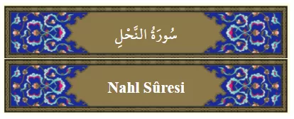 RUYADA  NAHL GÖRMEK