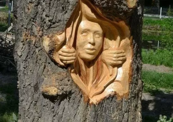 RÜYADA AĞAÇ  YONUCUSU GÖRMEK