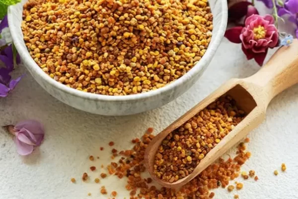 RUYADA ÇİÇEK (Döllenme Tozu) GÖRMEK