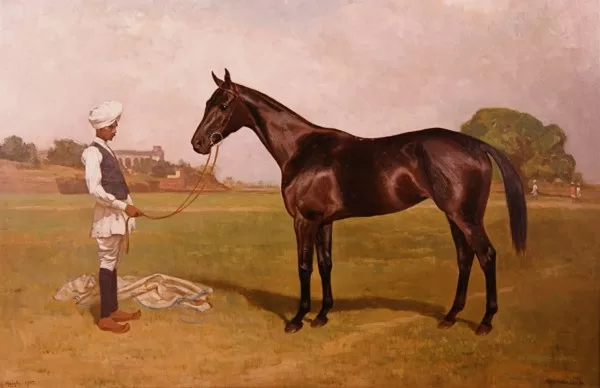 RUYADA  SEYİS GÖRMEK